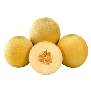 Bobby - Known You Seed India- KYI